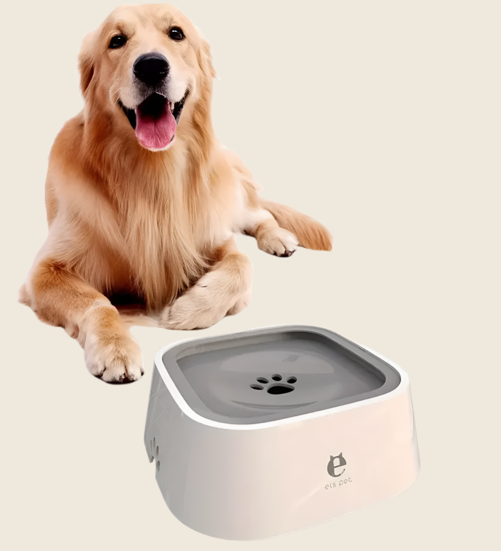 Spill-proof bowl Fur Haven
