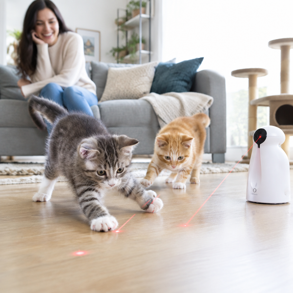 Automatic Laser Cat Toy