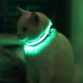 Glow Walk Light-Up Collar