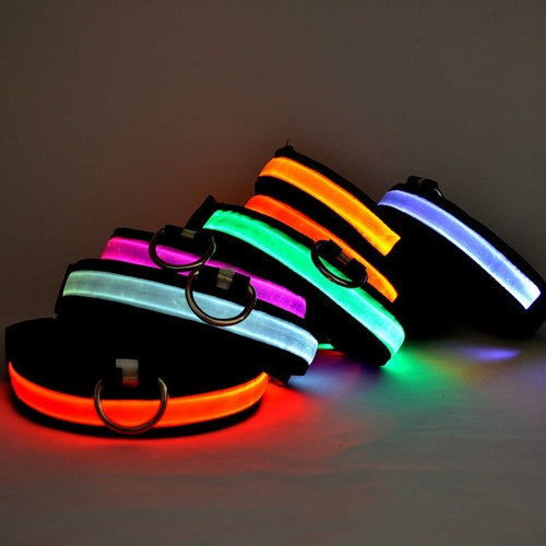 Glow Walk Light-Up Collar