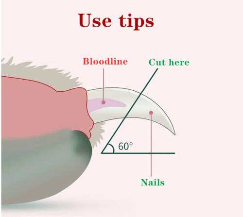LED Pet Nail Clipper