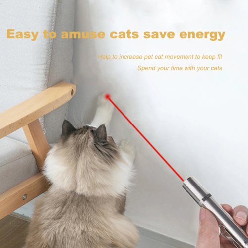 Chase-the-Dot LED Cat Toy