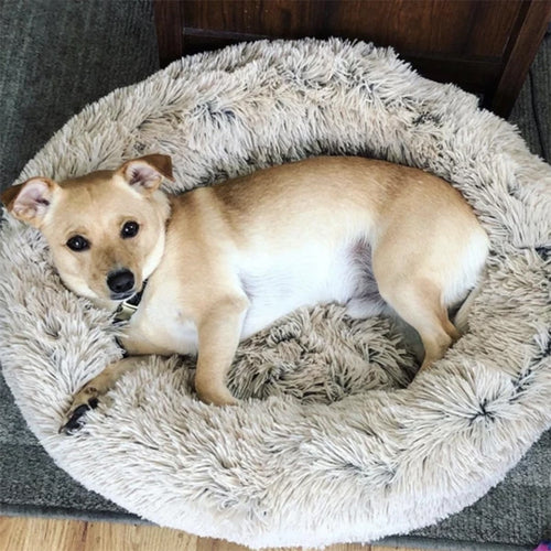 Cloud Calming Pet Bed