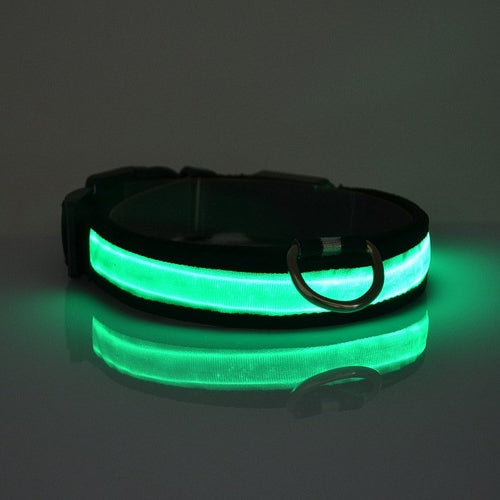 Glow Walk Light-Up Collar