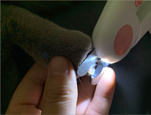 LED Pet Nail Clipper