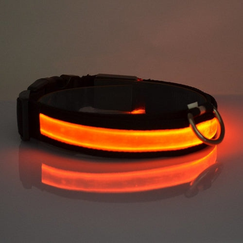 Glow Walk Light-Up Collar