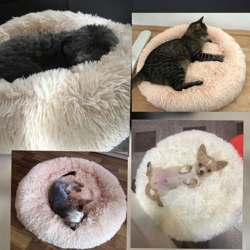 Cloud Calming Pet Bed